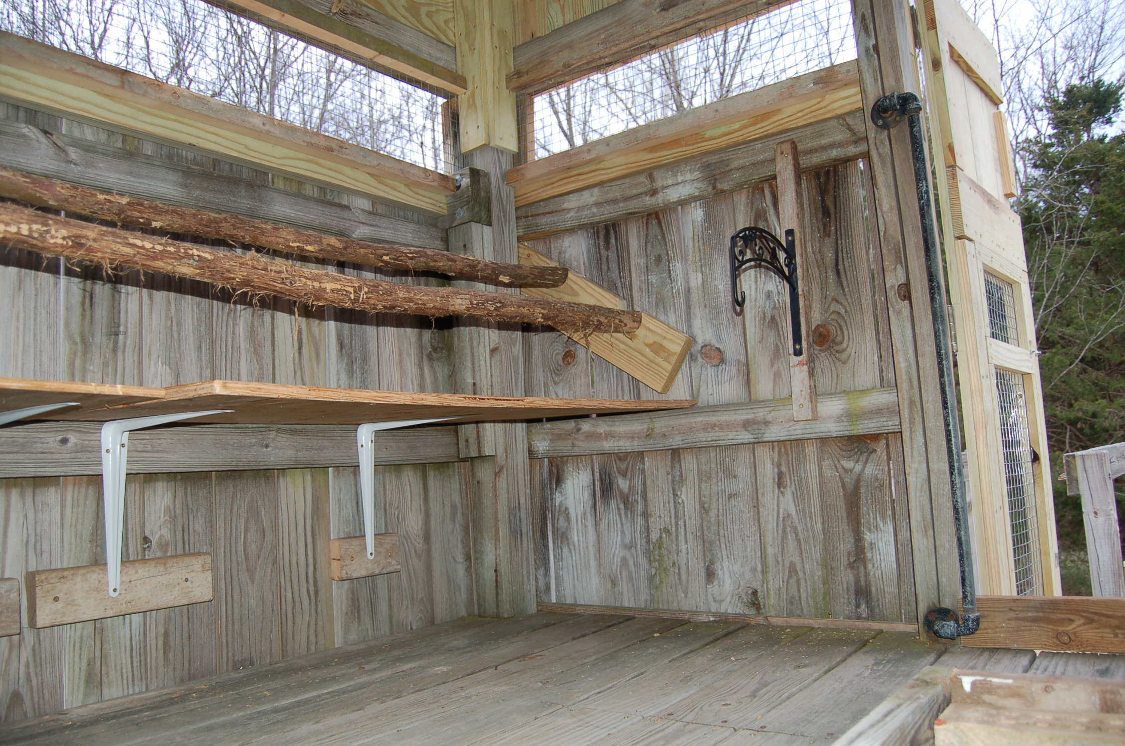 You can see the plant hanger we used to hang the feeder - we've since moved it to the other wall across from the perches.