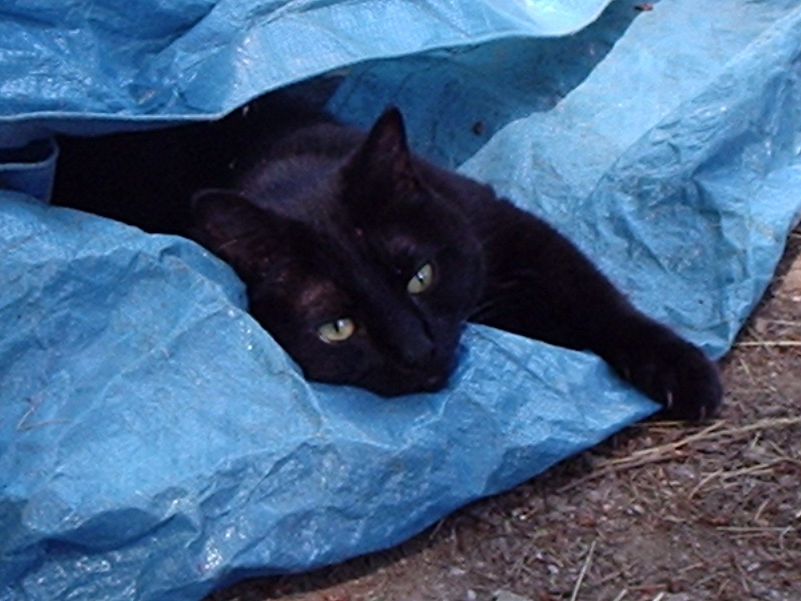 You never know where he might be lurking....