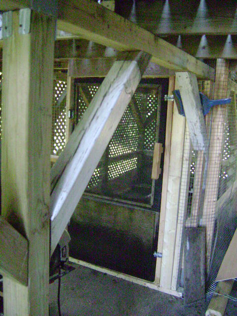 you'd never know we had an aviary