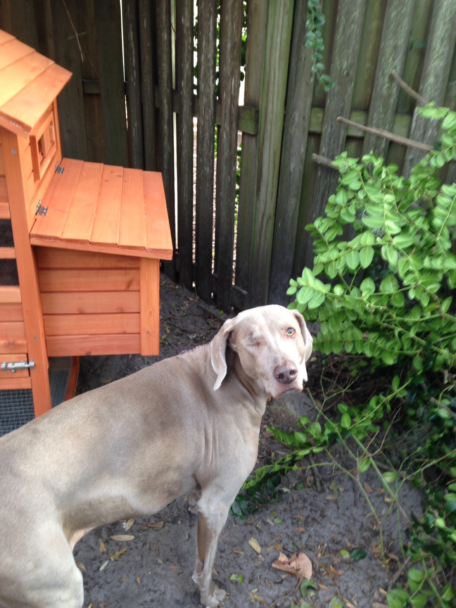 Zoe, the project manager.