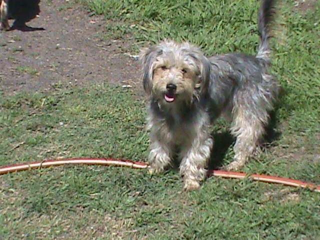 Zoey