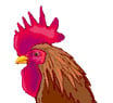 roostertop.jpg