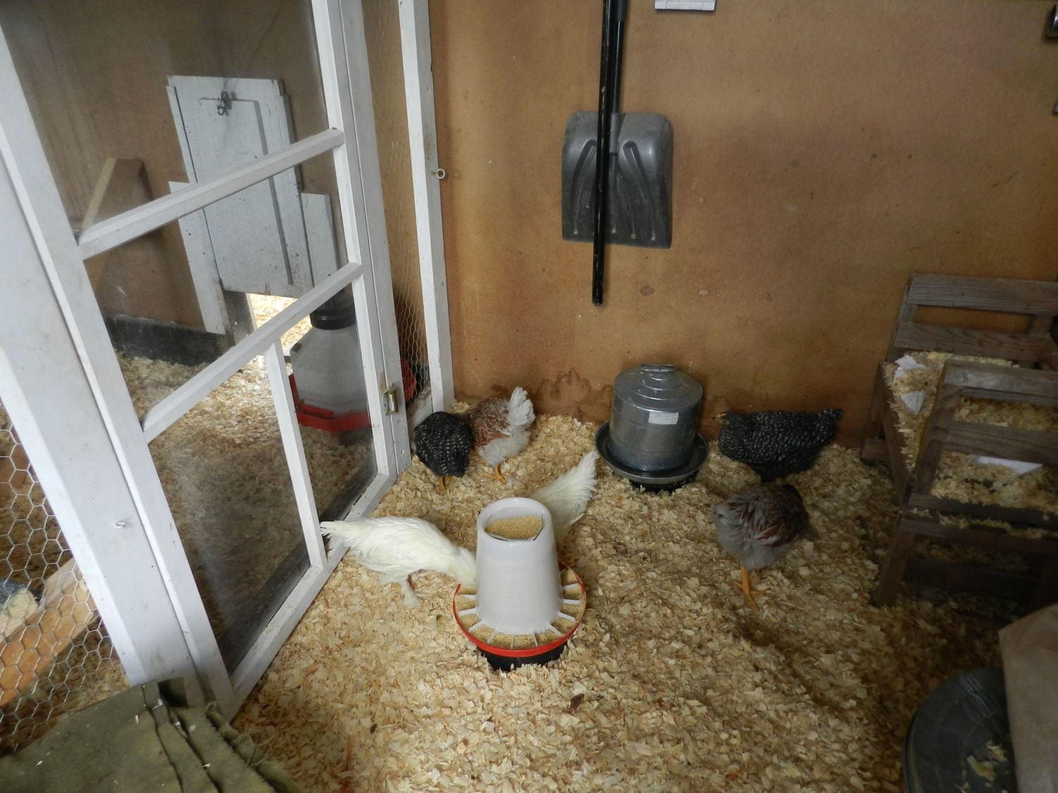 Вентиляция в курятнике своими руками