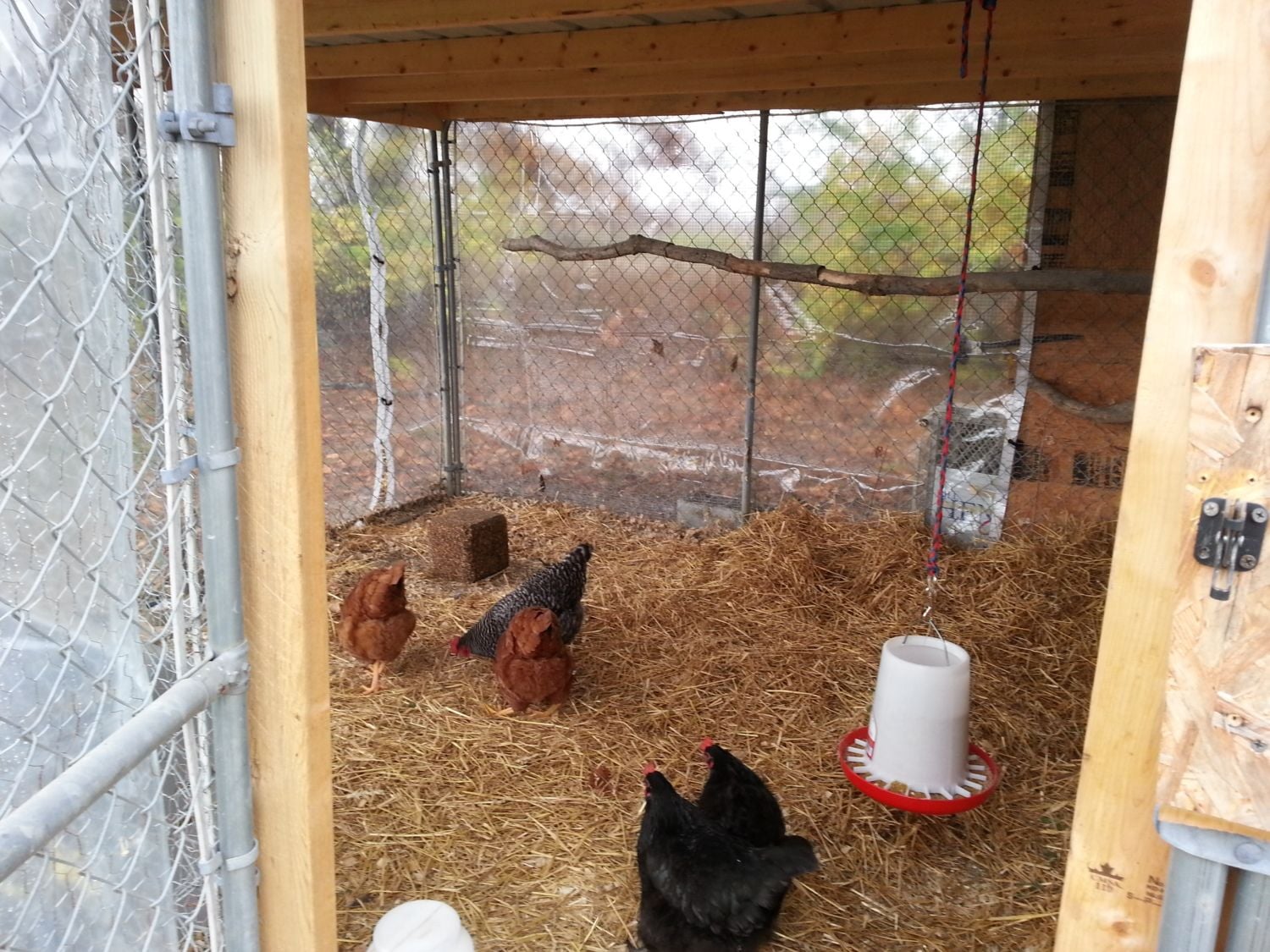 Вентиляция в курятнике своими руками
