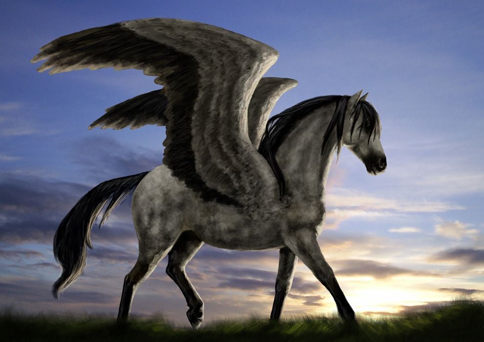 Horse life пегасы. Крылатый конь Пегас. Мифический крылатый конь Пегас. Летающая лошадь. Пегас лошадь.