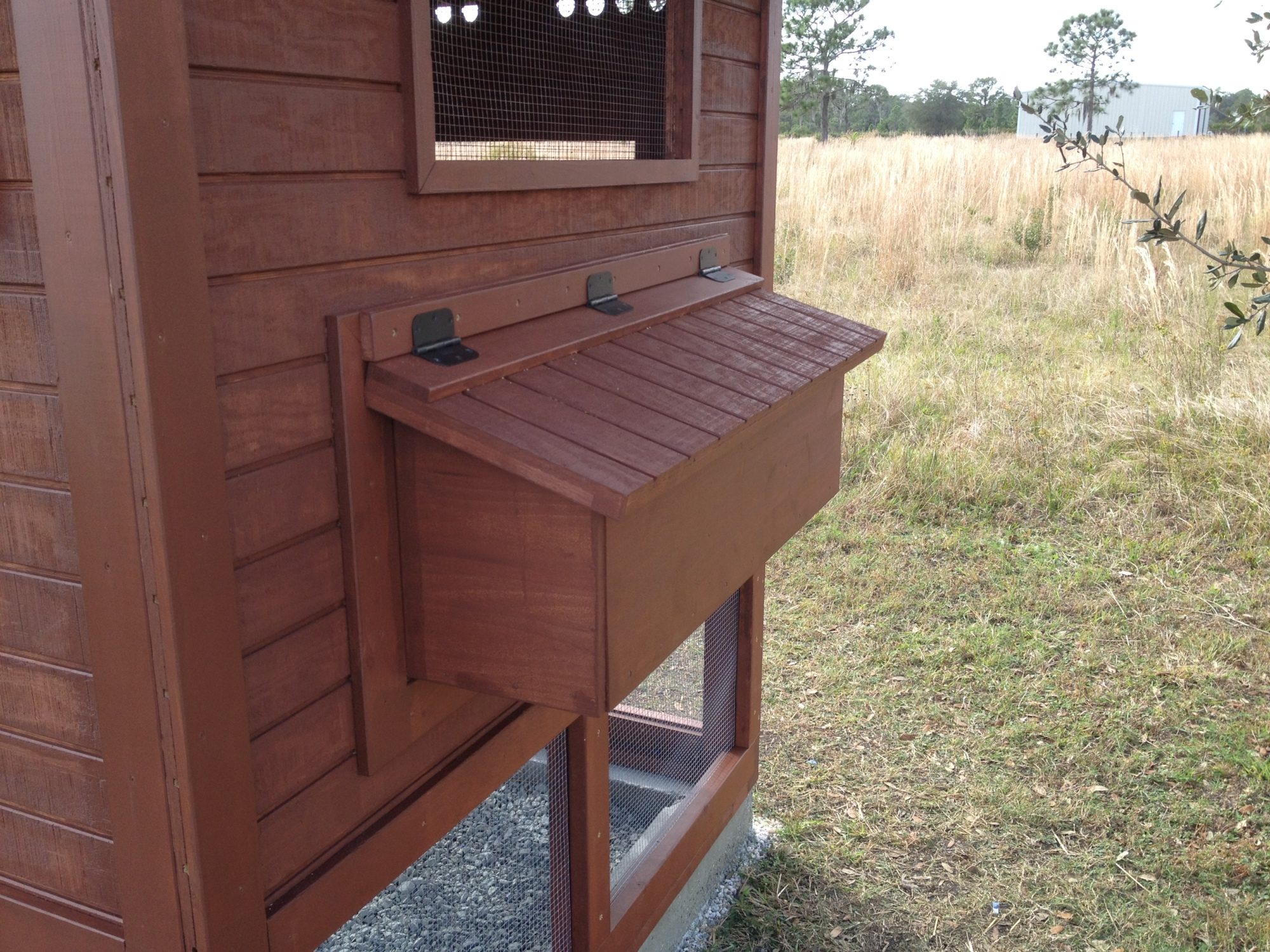 Waterproof nesting box lid  Nesting box, Chickens backyard, Coop