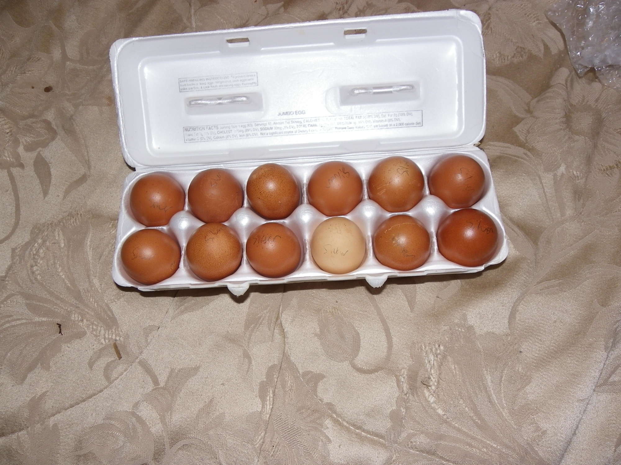 LL