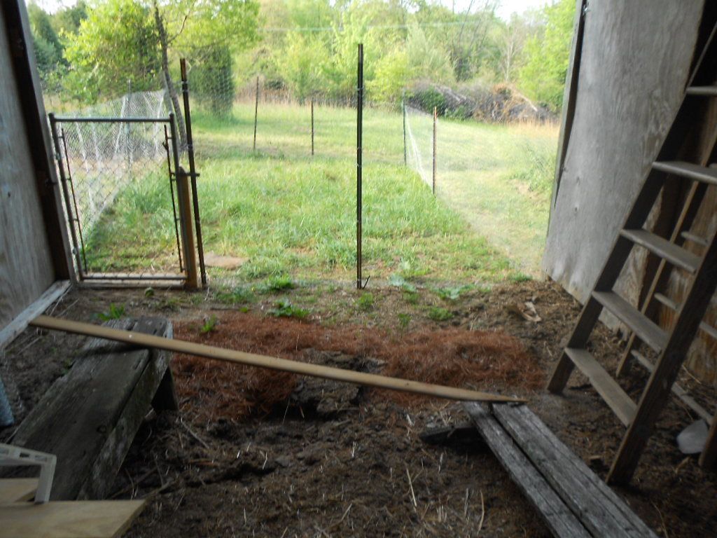 Converting A Lean To Into A Coop Will This Work Backyard Chickens