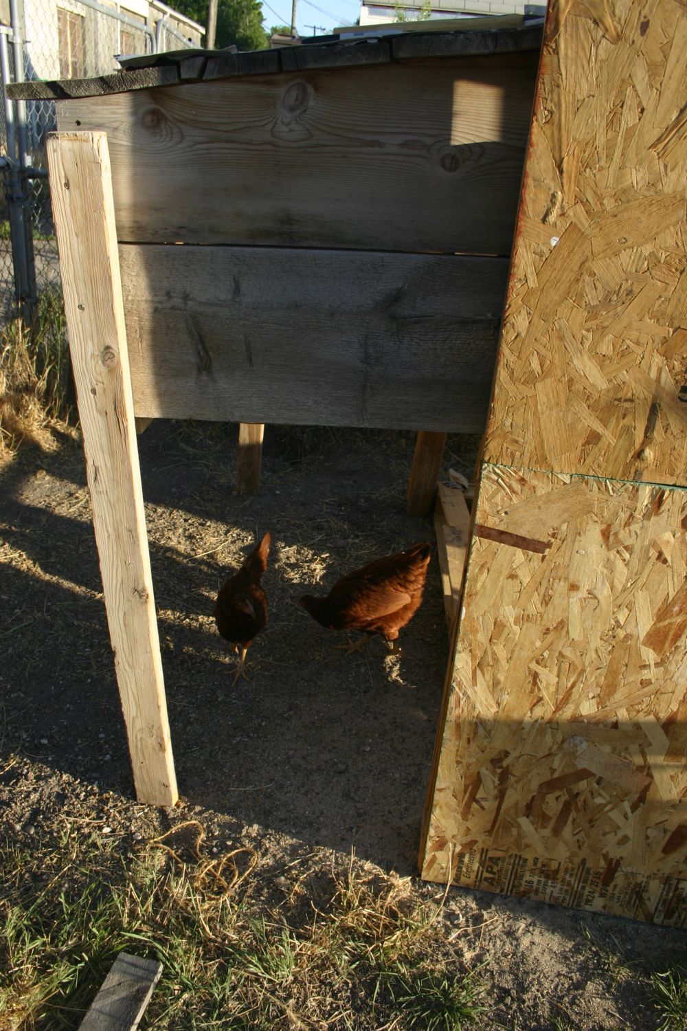 GOAL: Chicken Coop for under $50 with Pallets! (**Progress ...