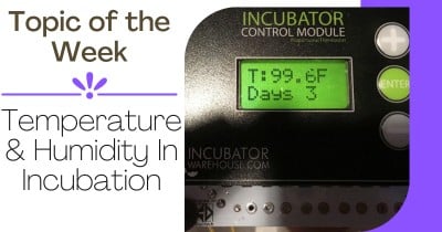 Temperature & Humidity in Incubation