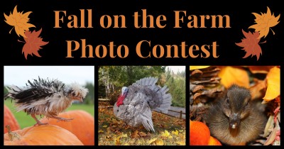 Fall on the Farm Photo Contest