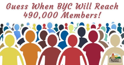 Guess When BYC Will Reach 490,000 Members!