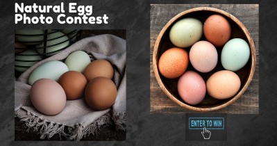 15th Annual BYC Easter Hatch-Along - Natural Egg Photo Contest