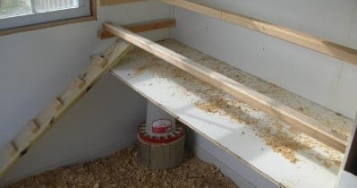 Deep litter method in shed coop/poop boards?