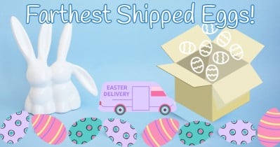 Farthest Shipped Eggs!