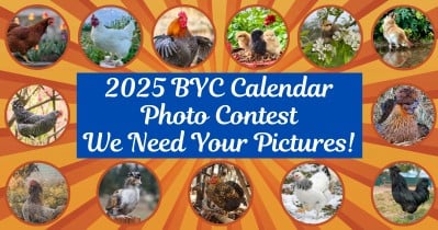 2025 BYC Calendar Photo Contest - Enter NOW!