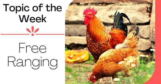 Topic of the Week: Free Ranging