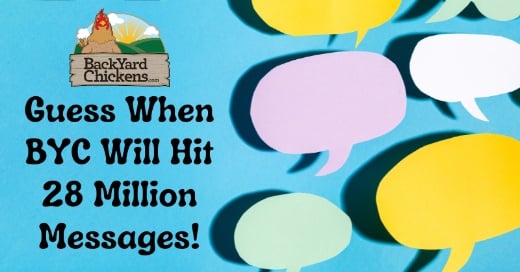 Guess When BYC Will Hit 28 Million Messages!