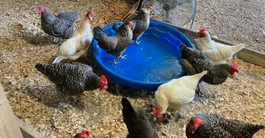 Extreme heat issues