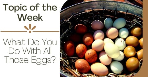 What Do You Do With All Those Eggs?