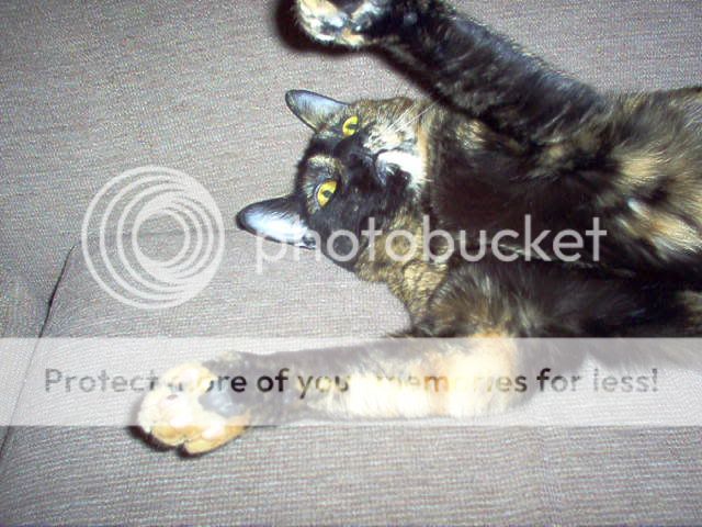 Picture691.jpg