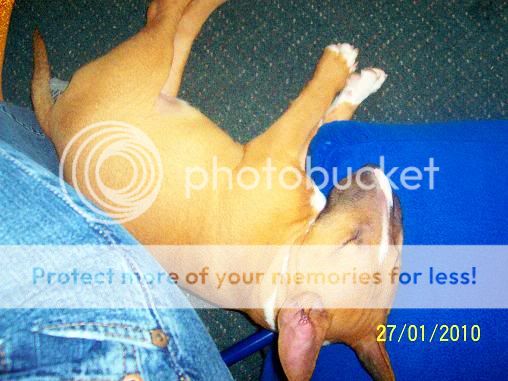 Picture018.jpg