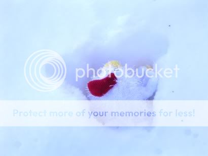 Snow1.jpg