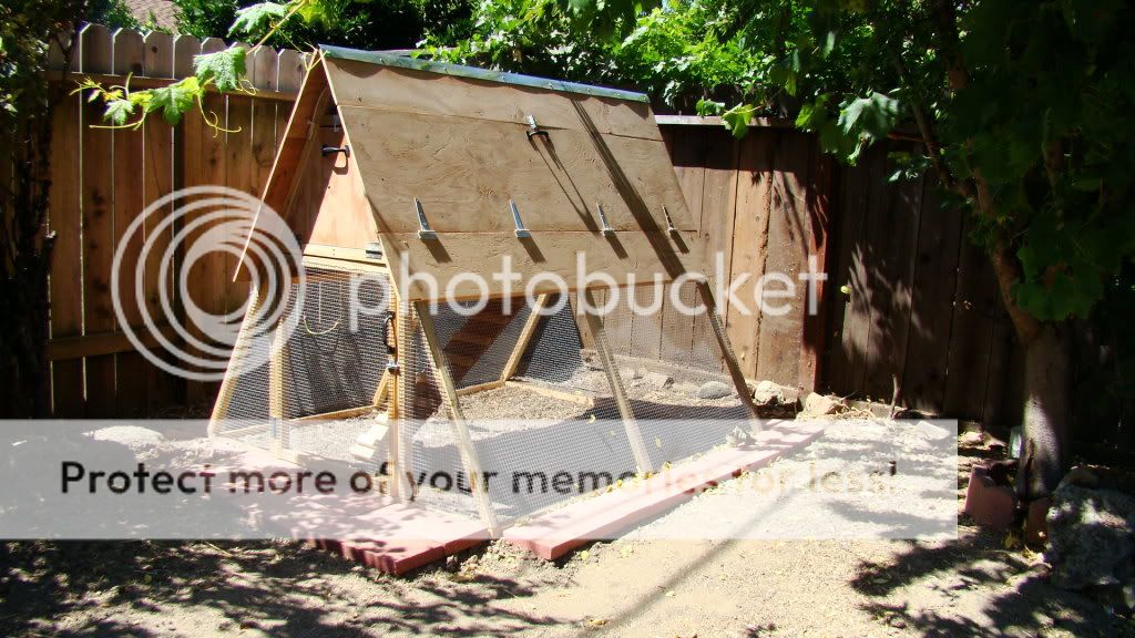 DSC03519.jpg