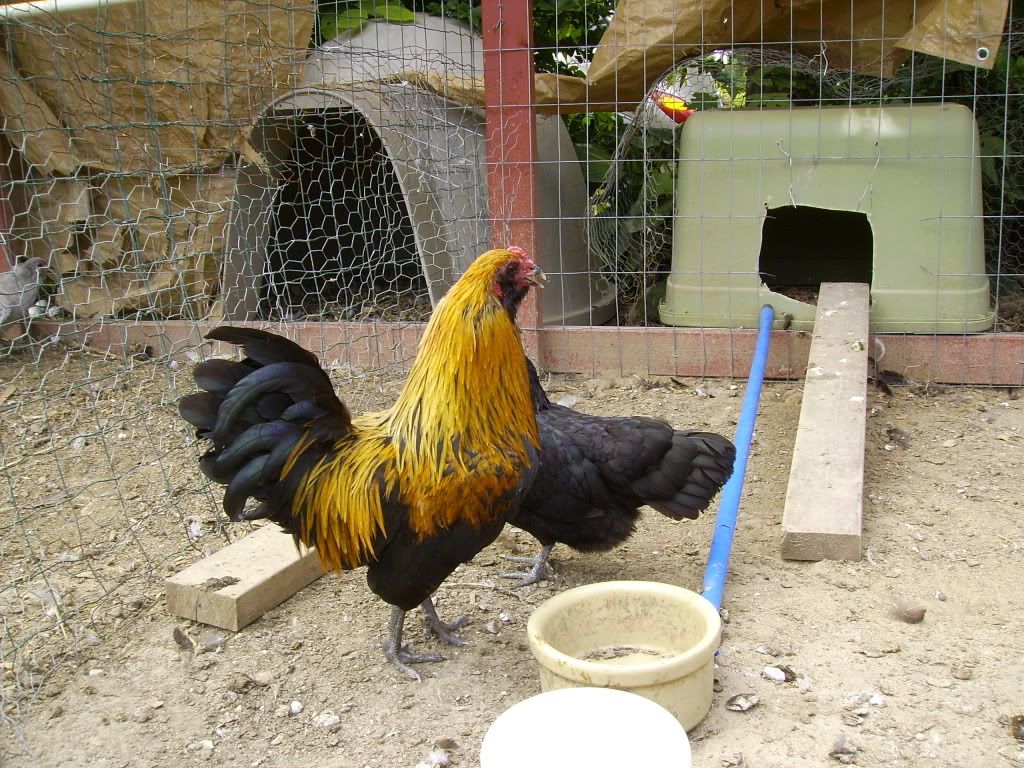 SANY2320.jpg