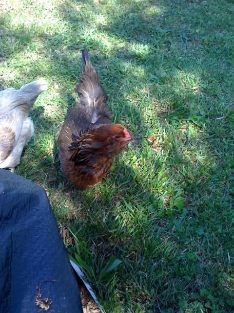 photo-162.jpg