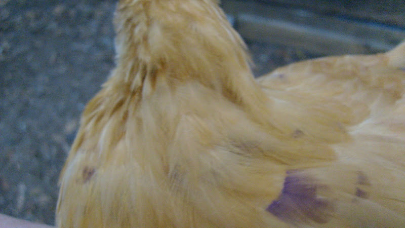 S6304464.JPG
