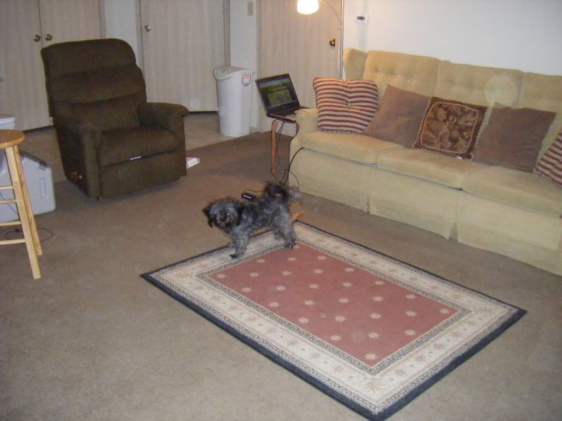 DSCF0684.jpg