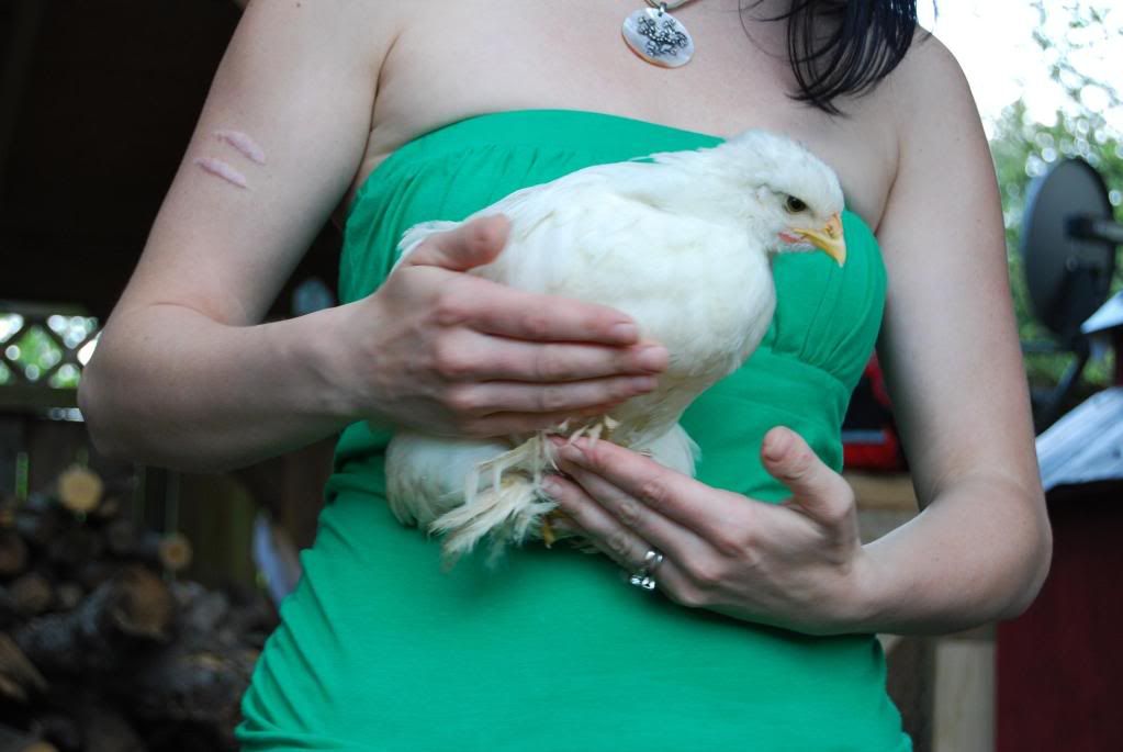 whitecochinhen.jpg