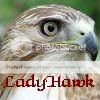 LadyHawk2.jpg