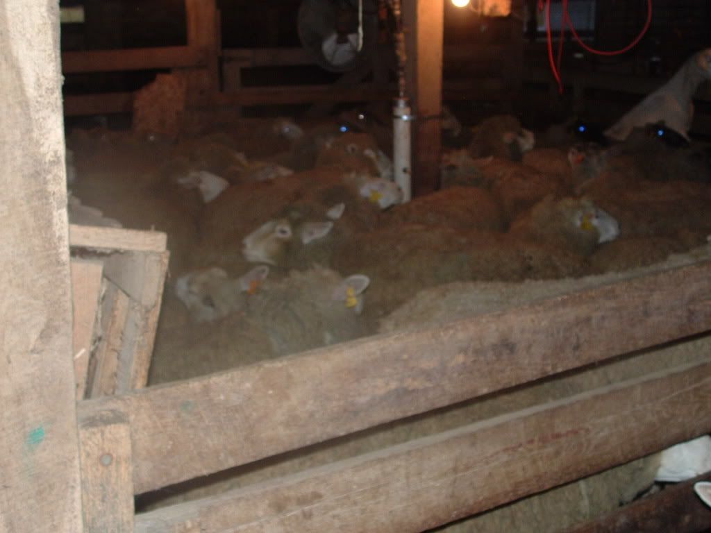 feb2008110-1.jpg
