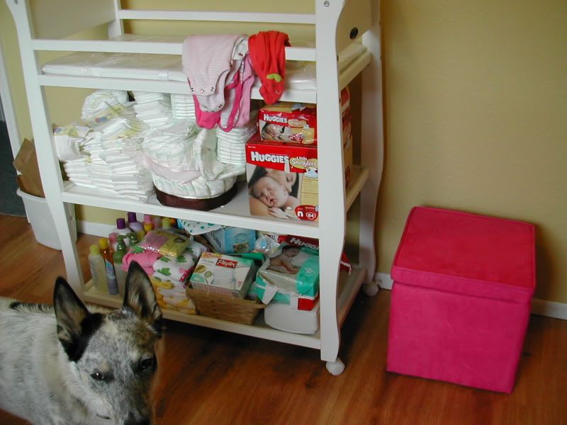 DSCN5371.jpg