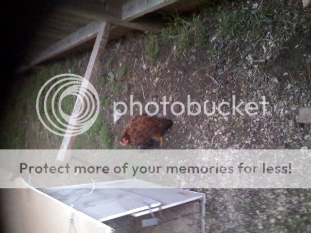 IMG_0027.jpg