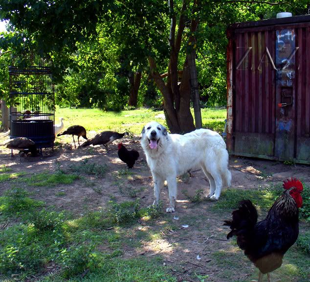 DSC00135.jpg