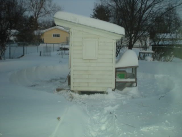 DSCN1637.jpg