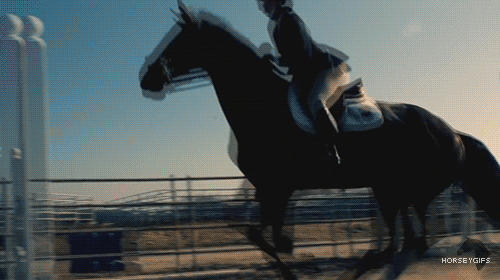 tumblr_moosj65LHP1s9umeuo1_500.gif