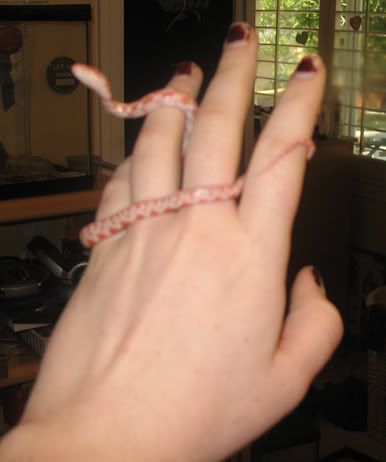 2-8-08005.jpg