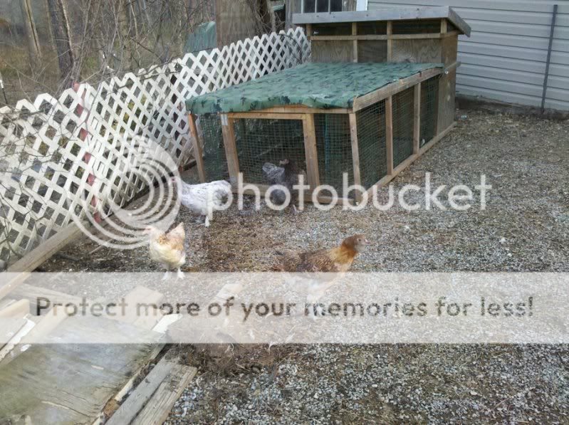 138047890_photobucket_6710_.jpg
