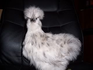 100_2903.jpg