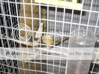 Picture041.jpg