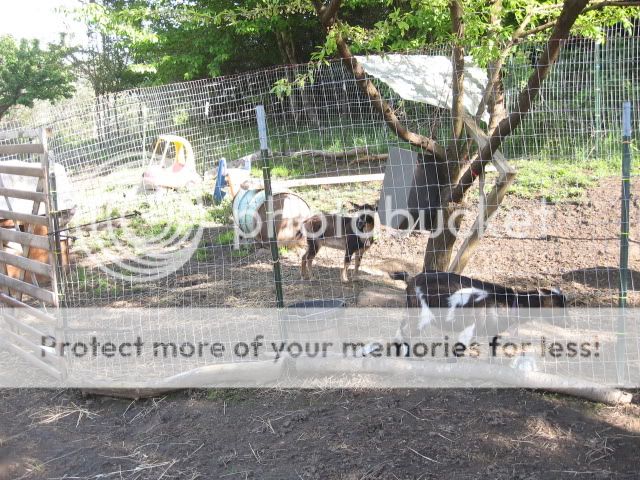 PicsofHome004.jpg