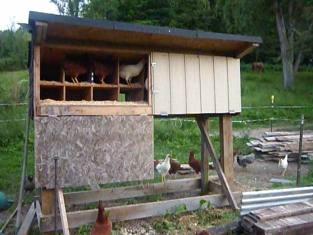 P1030080.jpg