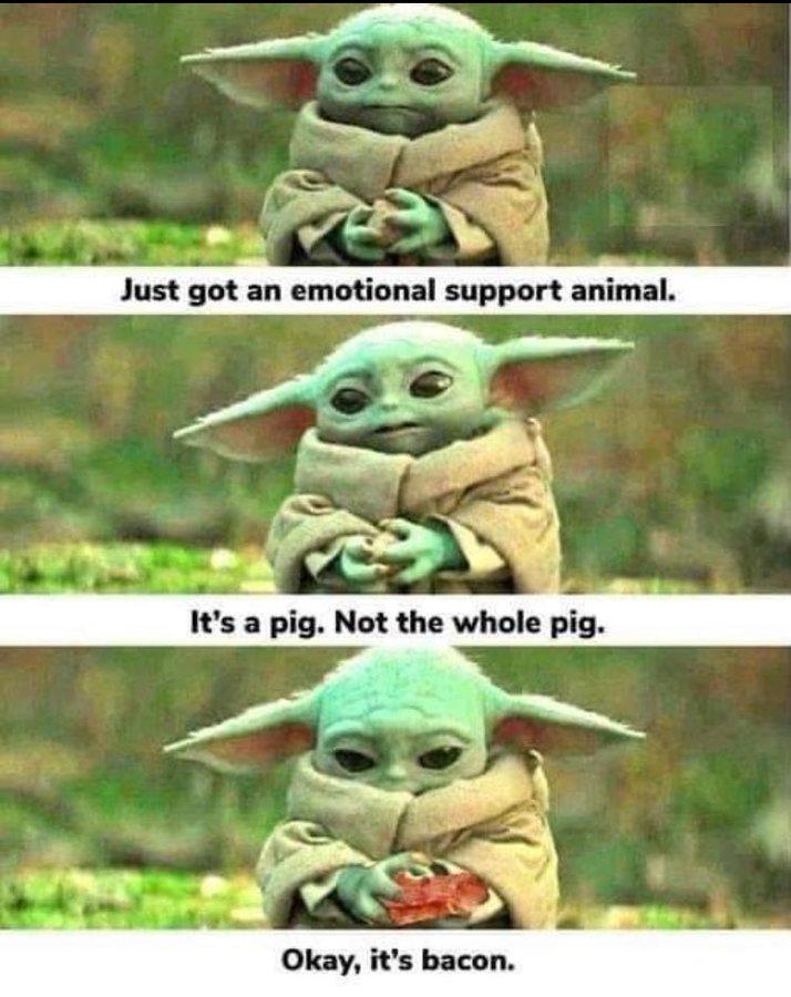 gYjQ6z0kQFNg.jpeg