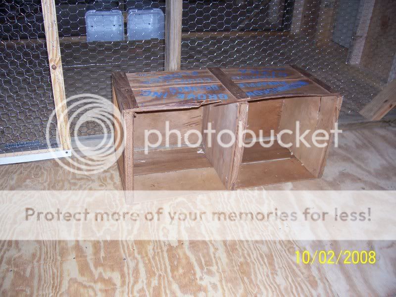 100_5781.jpg