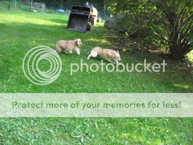 IMG_1494.jpg