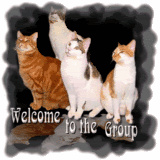 th4catwelcome.gif
